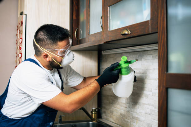 Best Residential Pest Control  in , CA