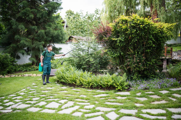 Best Local Pest Control Services  in , CA