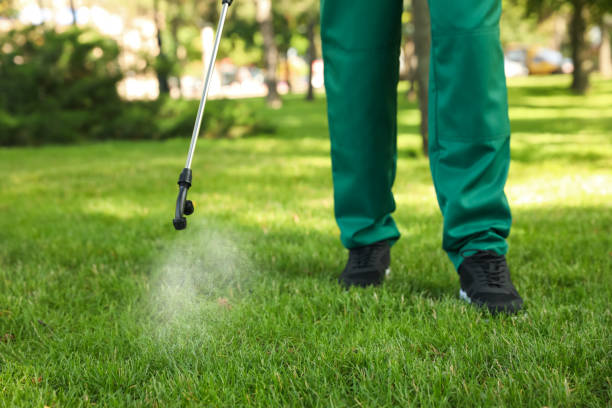 Best Mosquito Control Services  in , CA