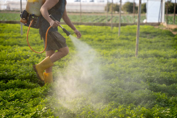Best Pest Control Cost  in , CA