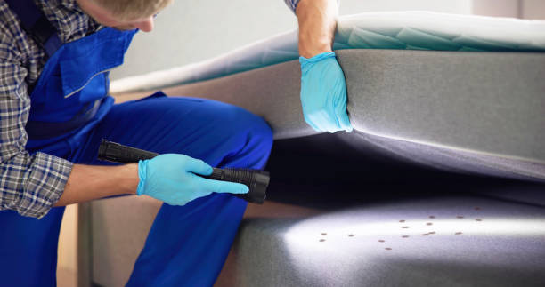 Best Flea Control Services  in , CA