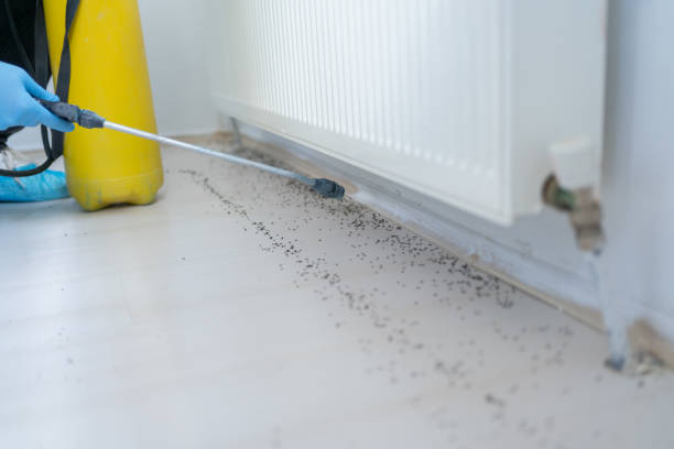 Best Emergency Pest Control  in , CA